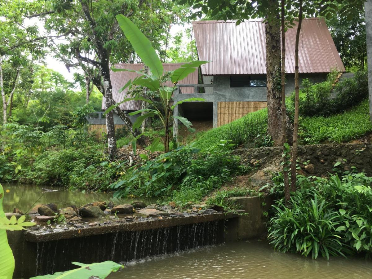 Baan Rai Me Rak Organic Farmstay Pa Khlok Eksteriør bilde